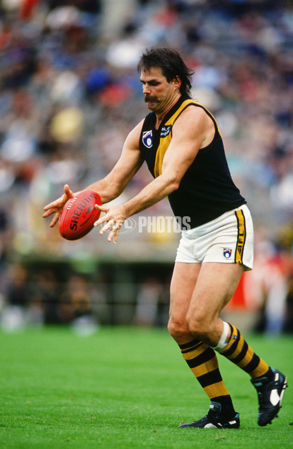 VFL 1980's - Richmond Tigers - 28692