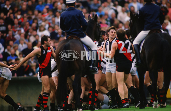 VFL 1989 - Collingwood v Essendon - 28632