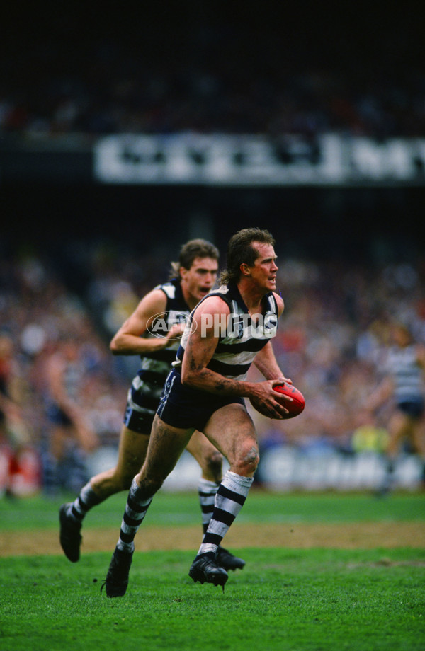 VFL 1989 - Melbourne v Geelong - 29187