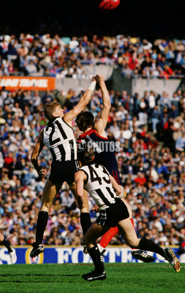 VFL 1989 - Collingwood v Melbourne - 28684