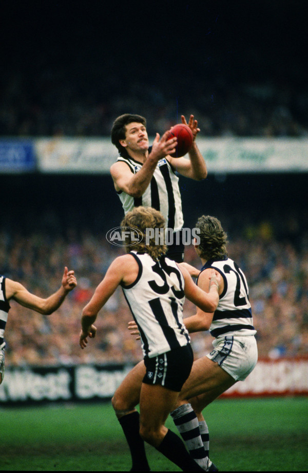 VFL 1988 - Collingwood v Geelong - 28927