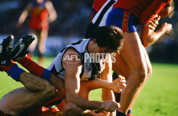 VFL 1986 - Collingwood v Fitzroy - 28690