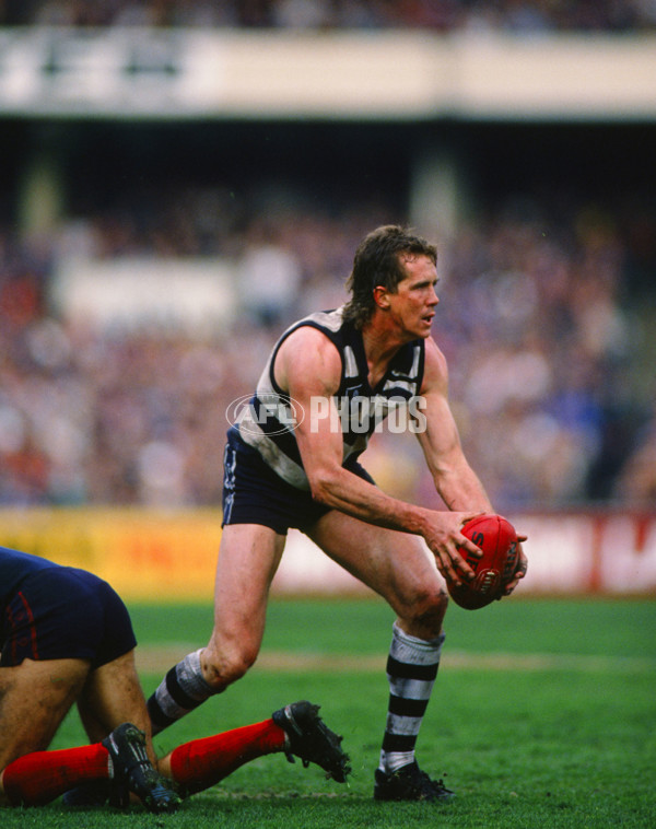 VFL 1989 - Melbourne v Geelong - 29188