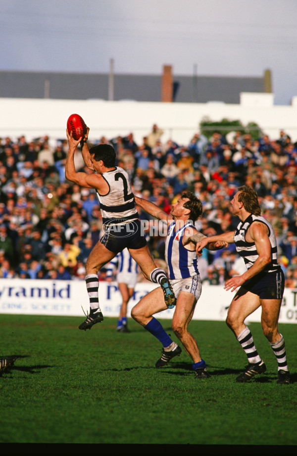 VFL 1989 Round 21 - North Melbourne v Geelong - 29451