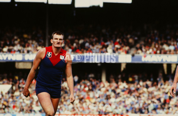 VFL 1981 - Melbourne Demons - 29448