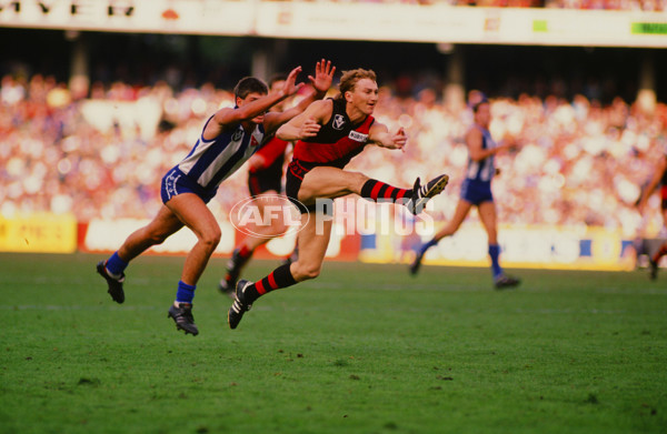 VFL 1989 - Essendon v North Melbourne - 29532