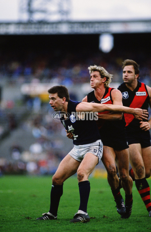 VFL 1989 - Essendon v Carlton - 30012