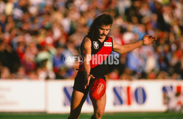 VFL 1989 - Essendon Bombers - 29714