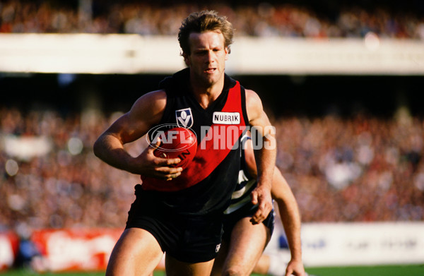 VFL 1989 - Essendon v Geelong - 29826