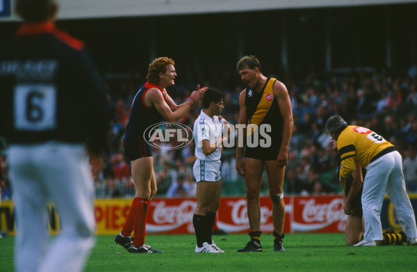 VFL 1989 - Melbourne v Richmond - 30235