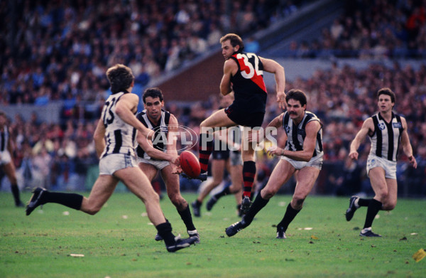 VFL 1988 - Essendon v Collingwood - 29845