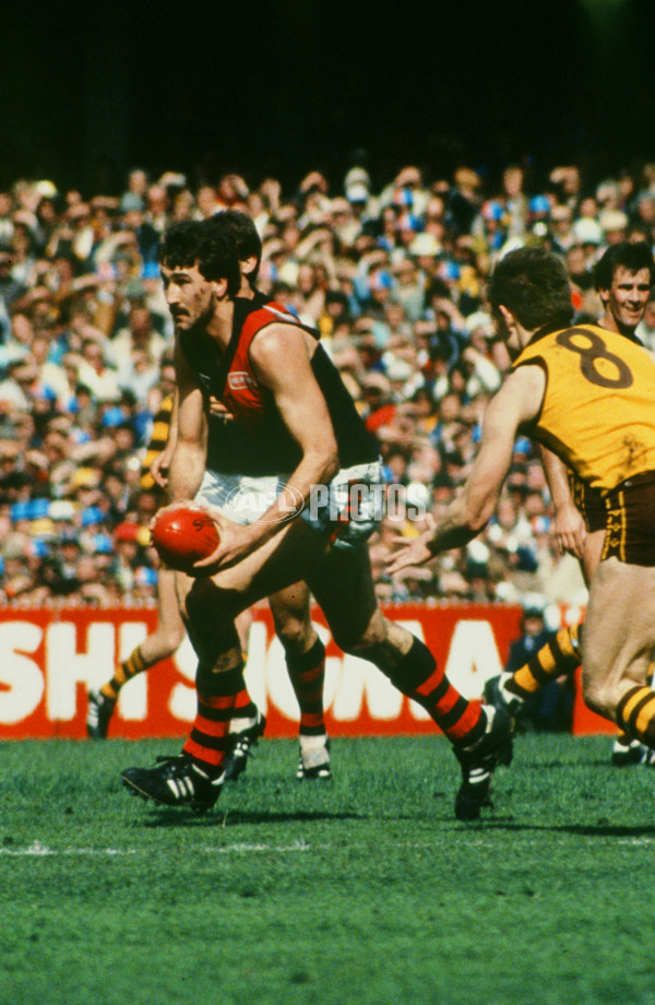 VFL 1980's - Essendon Bombers - 30286