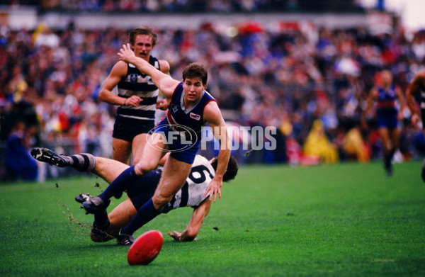 VFL 1987 - Footscray v Geelong - 30719