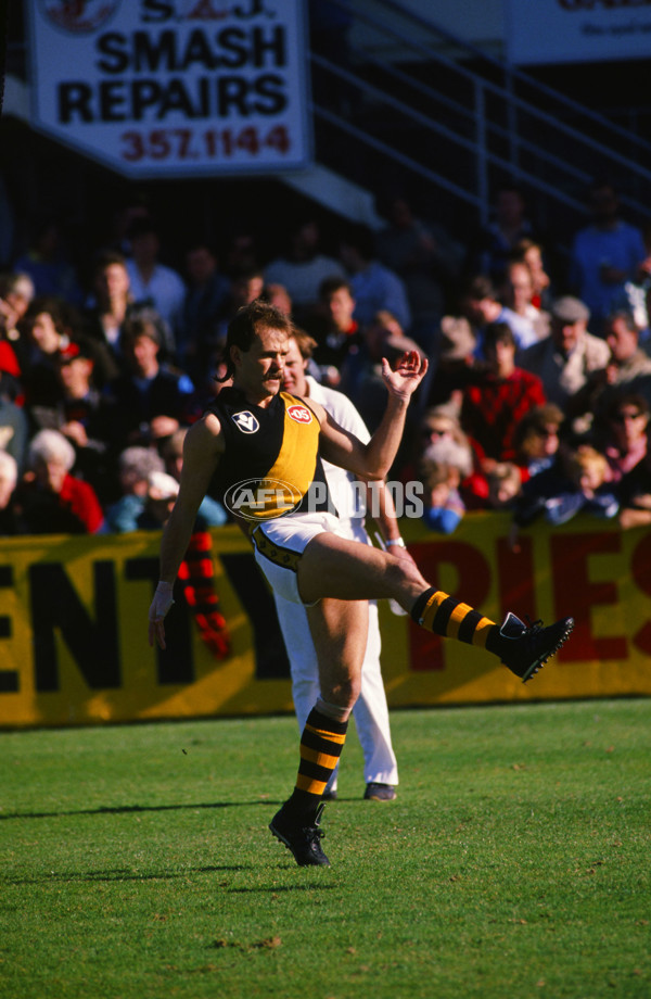 VFL 1989 - Richmond Tigers - 30433