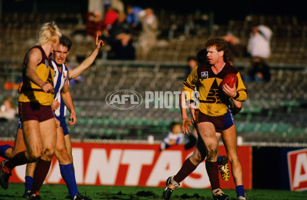 VFL 1988 - North Melbourne v Brisbane - 30570