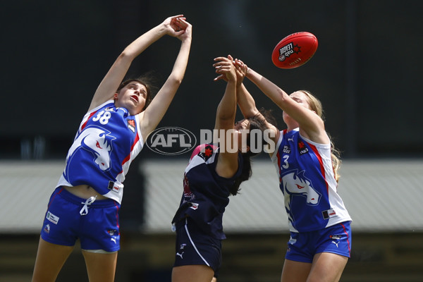 NAB League Girls 2022 - Sandringham Dragons v Oakleigh Chargers - A-677070