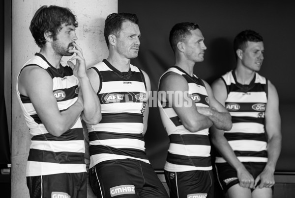 AFL 2022 Media - Geelong Team Photo Day - A-679358