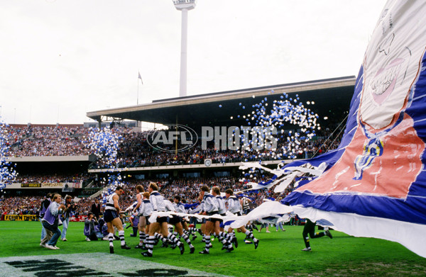 1989 VFL Grand Final - Hawthorn v Geelong - 20726