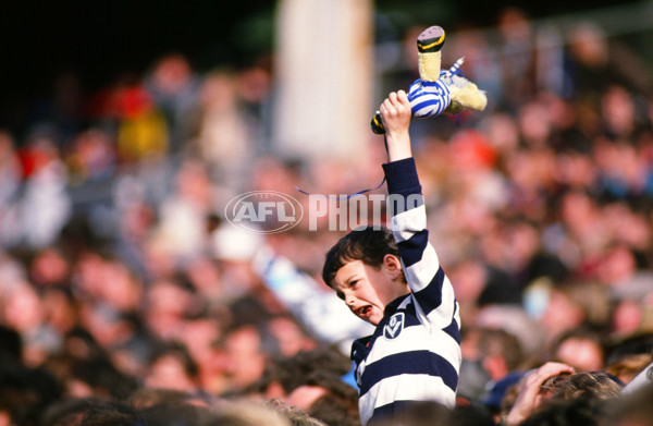 1989 VFL Grand Final - Hawthorn v Geelong - 20723