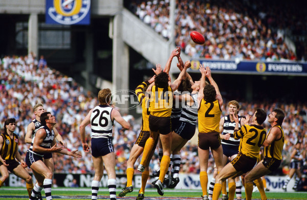 1989 VFL Grand Final - Hawthorn v Geelong - 21442