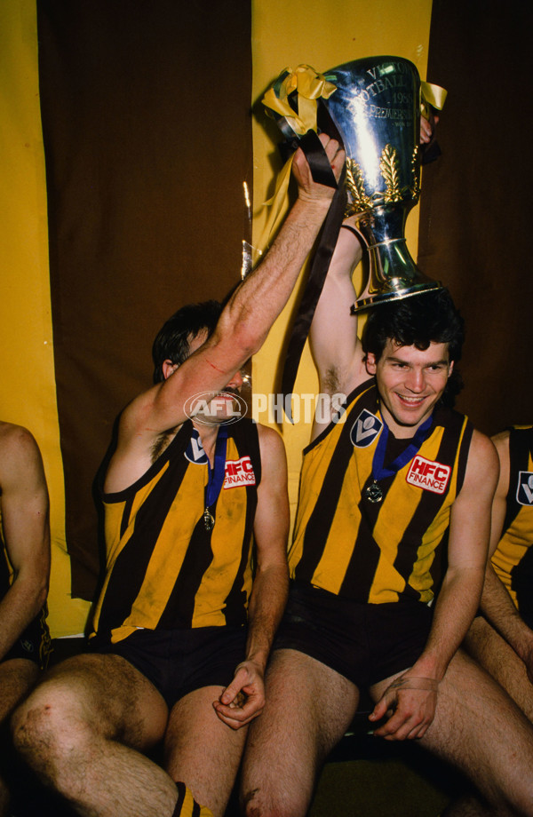 1989 VFL Grand Final - Hawthorn v Geelong - 21445