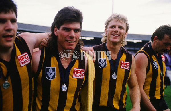 VFL 1989 Grand Final - Hawthorn v Geelong - 23114