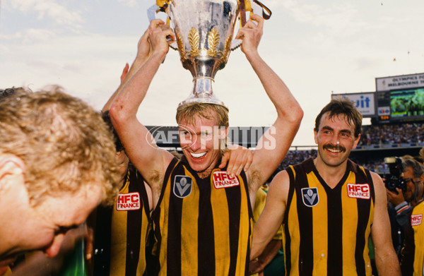 VFL 1989 Grand Final - Hawthorn v Geelong - 23099