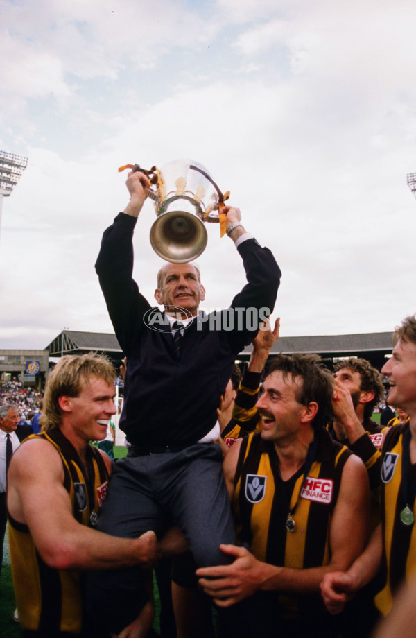 1989 VFL Grand Final - Hawthorn v Geelong - 21384