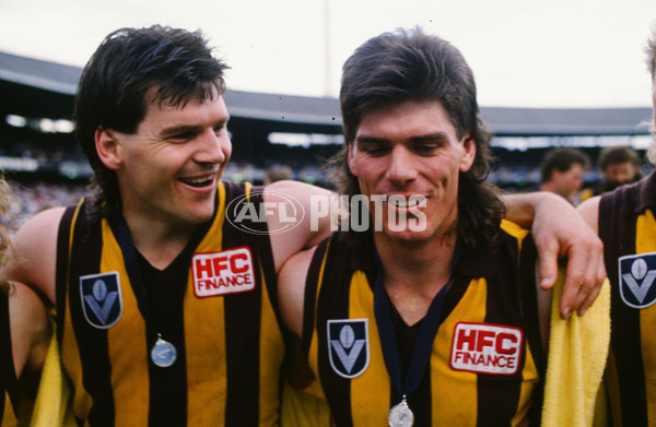 VFL 1989 Grand Final - Hawthorn v Geelong - 23117