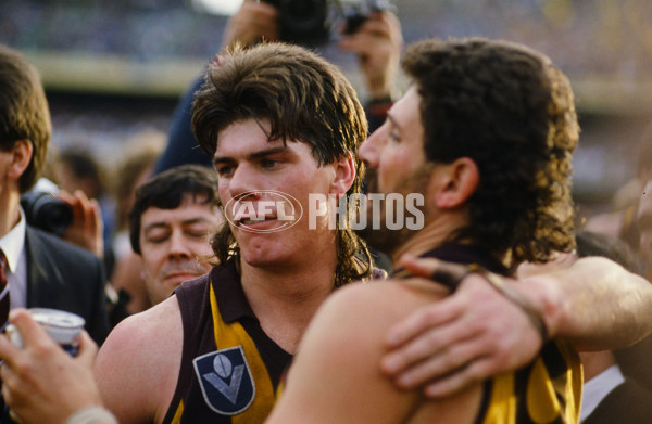 VFL 1989 Grand Final - Hawthorn v Geelong - 23165