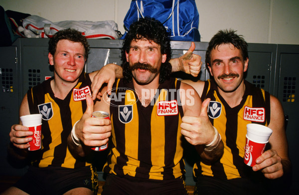 VFL 1989 Grand Final - Hawthorn v Geelong - 23208