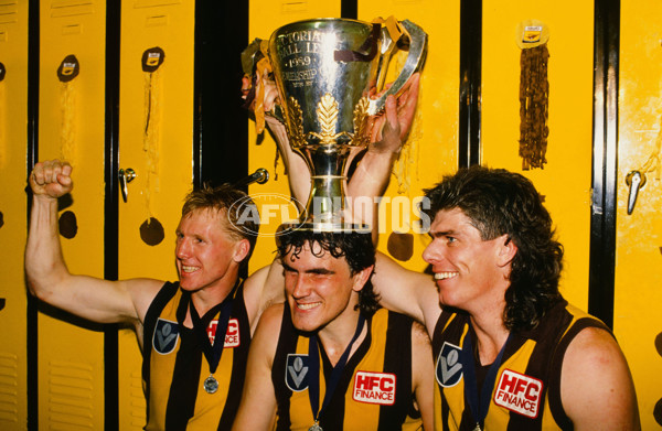 VFL 1989 Grand Final - Hawthorn v Geelong - 23166