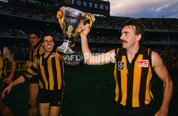 1989 VFL Grand Final - Hawthorn v Geelong - 21455