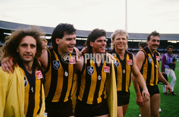 VFL 1989 Grand Final - Hawthorn v Geelong - 23125