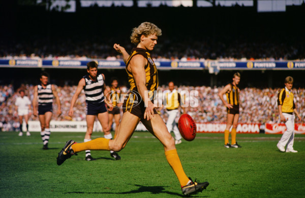 VFL 1989 Grand Final - Hawthorn v Geelong - 23189