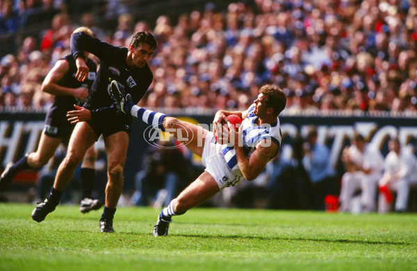 AFL 1999 Grand Final - Carlton v Kangaroos - 28113