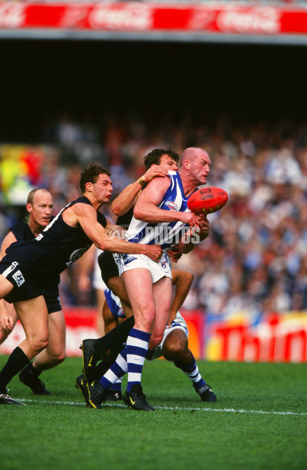 AFL 1999 Grand Final - Carlton v Kangaroos - 28126