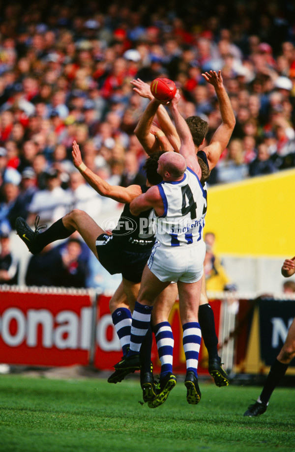 AFL 1999 Grand Final - Carlton v Kangaroos - 28192