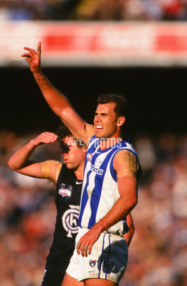 AFL 1999 Grand Final - Carlton v Kangaroos - 28128