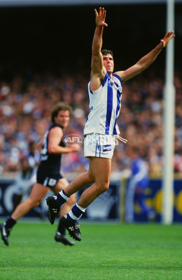 AFL 1999 Grand Final - Carlton v Kangaroos - 28141