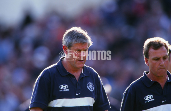 AFL 1999 Grand Final - Carlton v Kangaroos - 28163