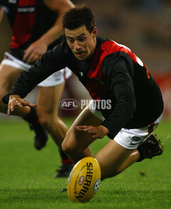 AFL 2002 Rd 1 - Essendon v Geelong - 132096