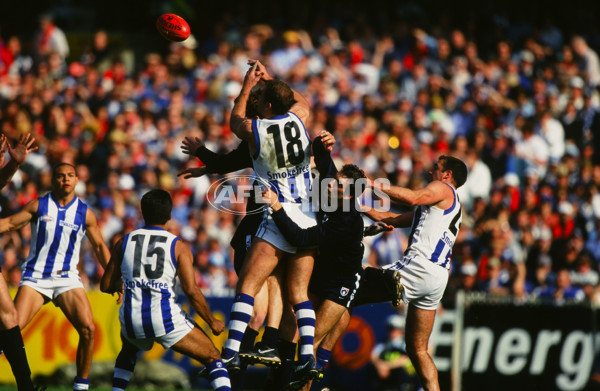 AFL 1999 Grand Final - Carlton v Kangaroos - 28155