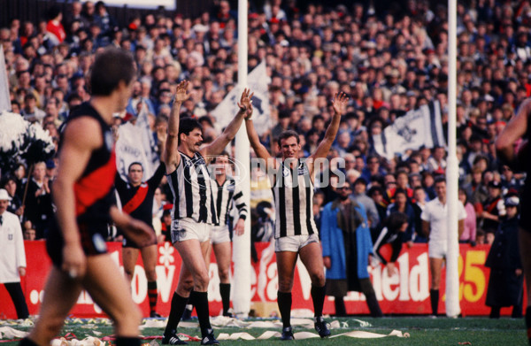 VFL 1985 - Essendon v Collingwood - 28576