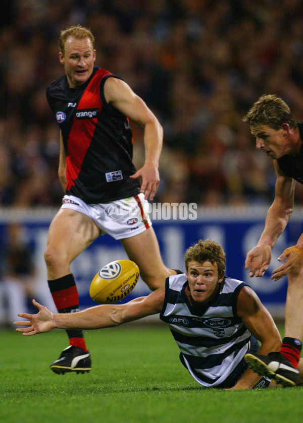 AFL 2002 Rd 1 - Essendon v Geelong - 132777