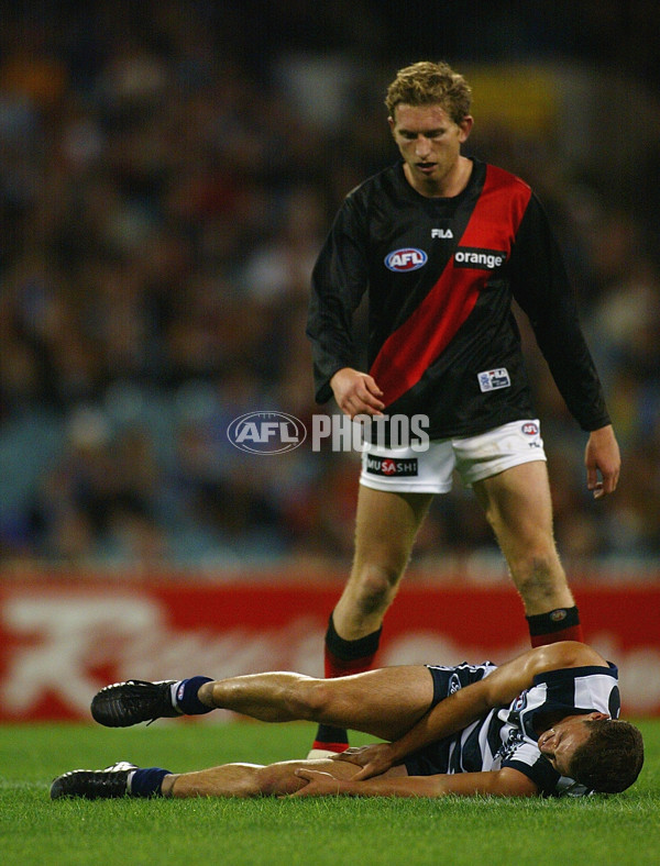 AFL 2002 Rd 1 - Essendon v Geelong - 132779