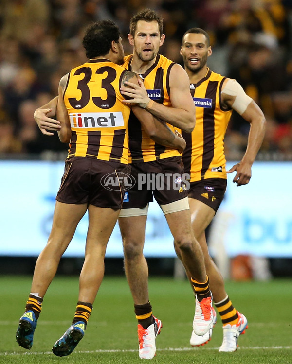 AFL 2015 Second Semi Final - Hawthorn v Adelaide - 404271