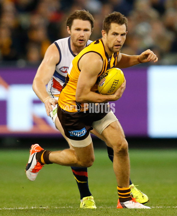 AFL 2015 Second Semi Final - Hawthorn v Adelaide - 404297