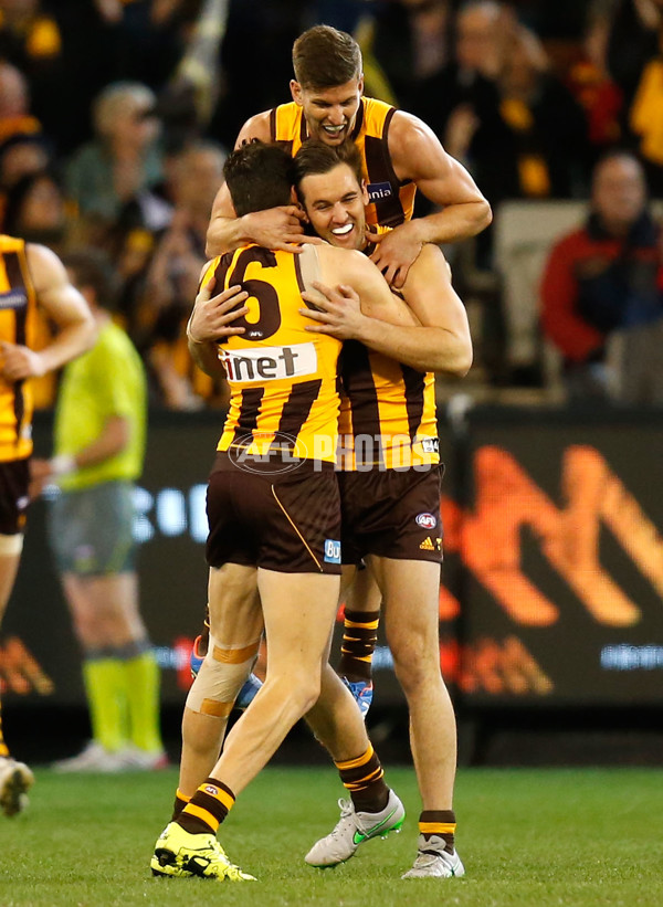 AFL 2015 Second Semi Final - Hawthorn v Adelaide - 404280