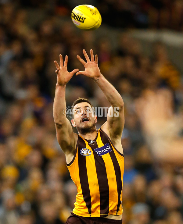 AFL 2015 Second Semi Final - Hawthorn v Adelaide - 404351